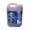 DESINCRUSTANTE ACIDO 5L